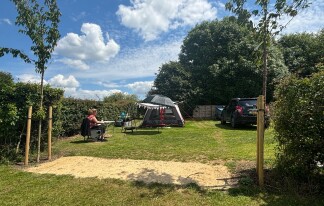 New Paddock 3